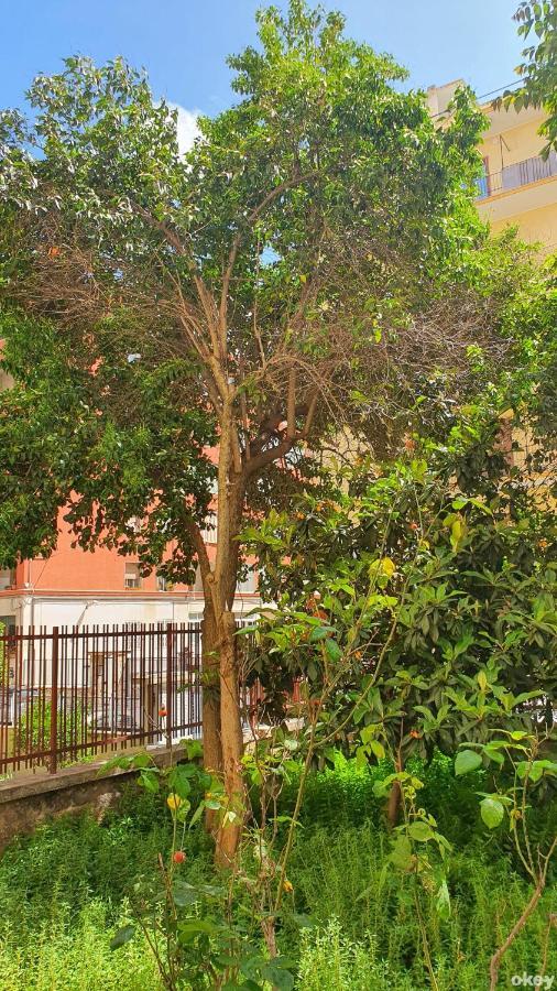 Star House - Bari Centro Apartment Bagian luar foto